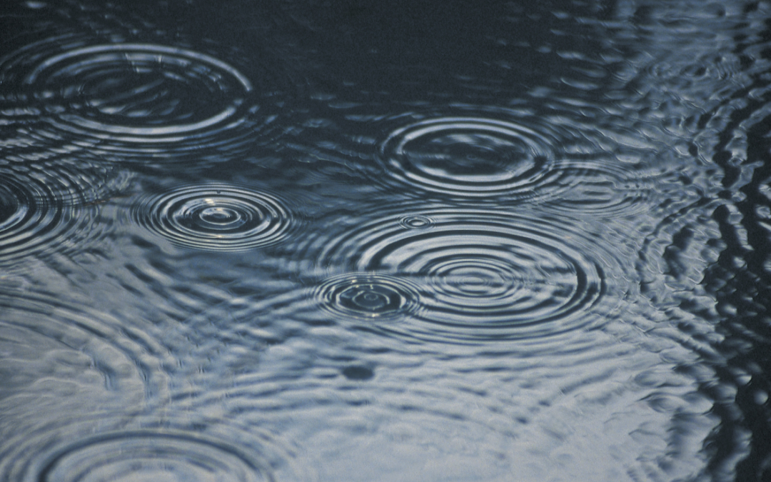 De nieuwe wetgeving voor regenwaterputten en waterretentie: alles wat je moet weten